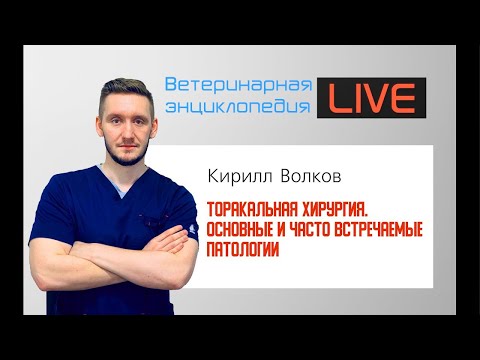 Торакальная хирургия. Основные и часто встречаемые патологии