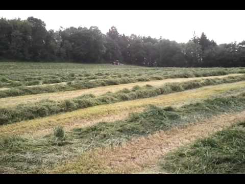 Baling Silage 2011 (Part 7) Raking - YouTube