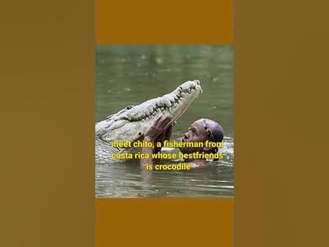 The Man Who Swims With Crocodile - YouTube