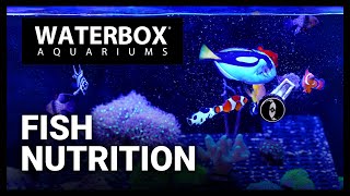 Fish Nutrition The Right Way.  Episode 183