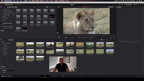 A Guide To Working With Smart Bins in Resolve