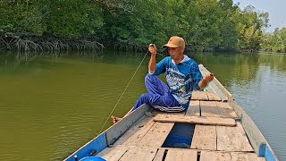 THE THRILL OF FISHING FOR SNAPPER IN THE ESTUARY, LOTS OF BITES, USING LIVE SHRIMP AS BAIT