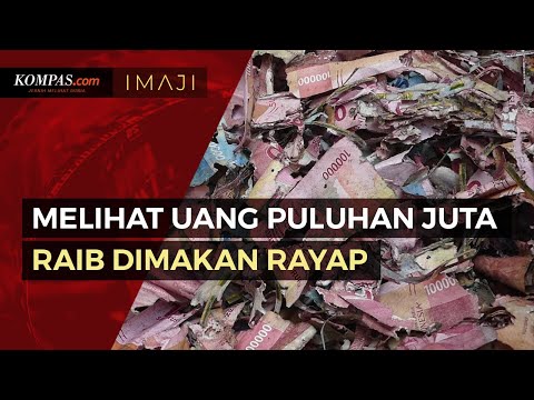 Melihat Uang Tabungan Haji Puluhan Juta Raib Dimakan Rayap