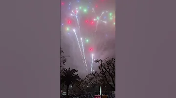 NYELA 2025 A Night To Celebrate Together Countdownto2025 Shorts 