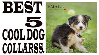 Buy Cool Dog Collar for angry dog || The Best 5 Cool Dog Collars In 2019