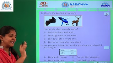 18TH NOV ODISHA CLASS IV SCIENCE AMAZING ASSIGNMENT KEY