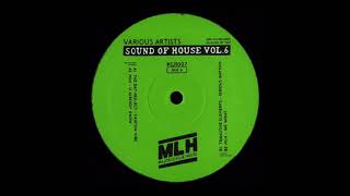 Mlh - We Want Original Mix