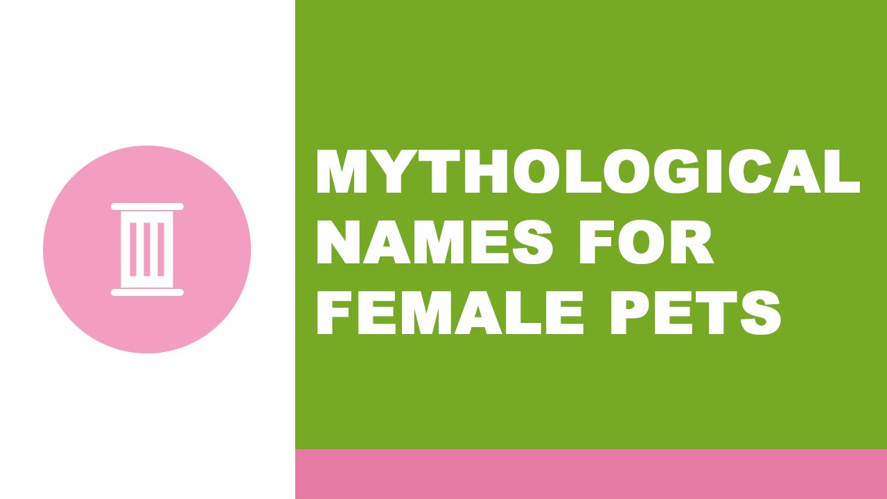 Mythological Names For Female Pets Www namesoftheworld YouTube mythological-names-for-female-pets-www-namesoftheworld-youtube