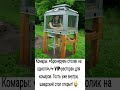 Комары: «Бронируем столик на одного». #юмор #шуточное #прикол #анекдоты #ржач #мемас #смех #ржака