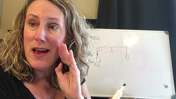 Chapter 1 Writing a lab report (for labs 1.1 and 1.2)