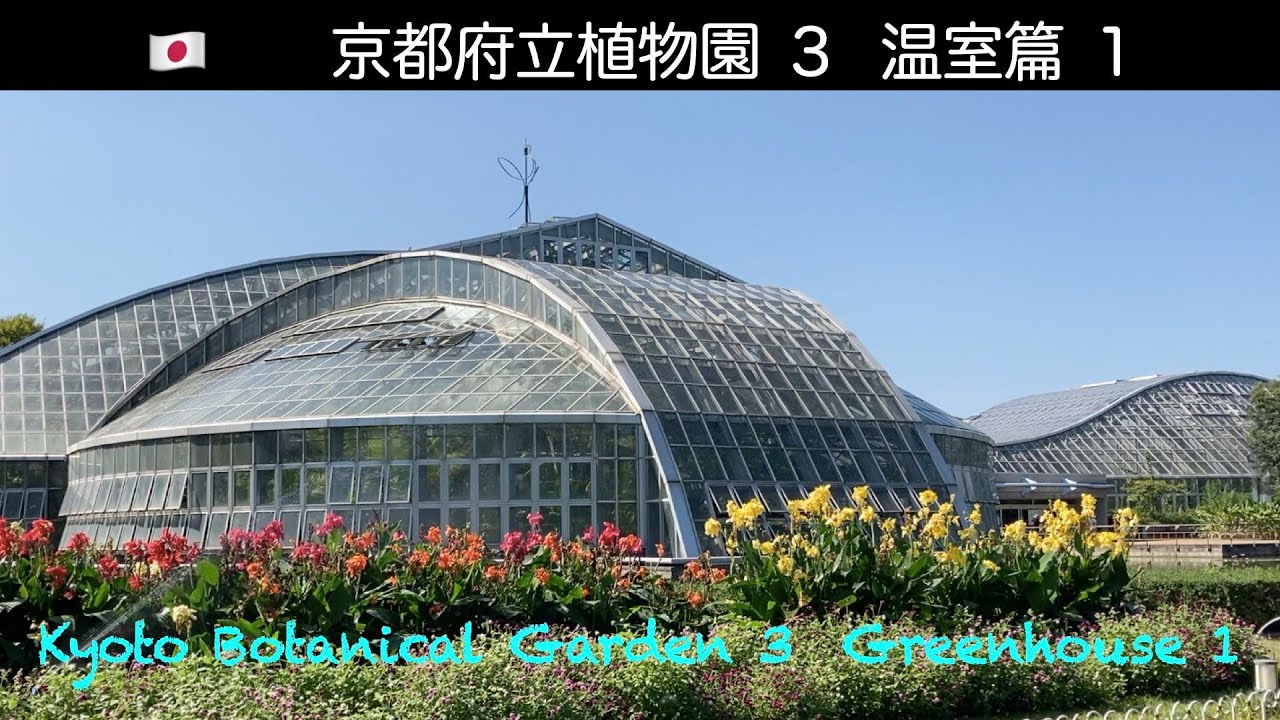 日本 46 京都府立植物園３ 温室篇１ Kyoto Botanical Garden 3 Greenhouse 1 Youtube