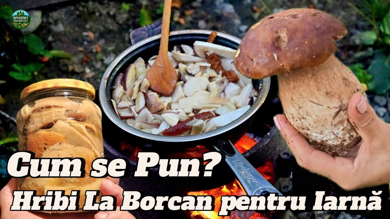 AM CULES HRIBI ȘI ÎI PREGĂTESC PENTRU IARNĂ – HRIBI CU SMÂNTÂNĂ | EP 45