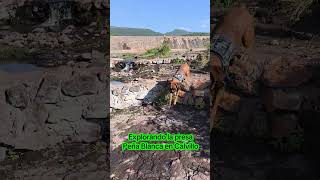 lomitos exploradores #boxer #dondeestamos #perdidos #presa #peñablanca #calvillopueblomágico