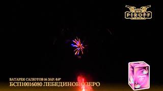 БСП10016080 Лебединое Озеро