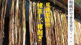 【仁淀川町】尾崎製紙所で土佐和紙作り～楮蒸し、楮剥ぎ～