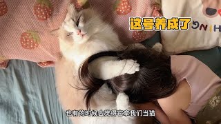 Raising a cat is like raising a game number. The higher the level  the more relatives. by 猪娣儿是一只猫 1,100 views 1 month ago 4 minutes, 25 seconds