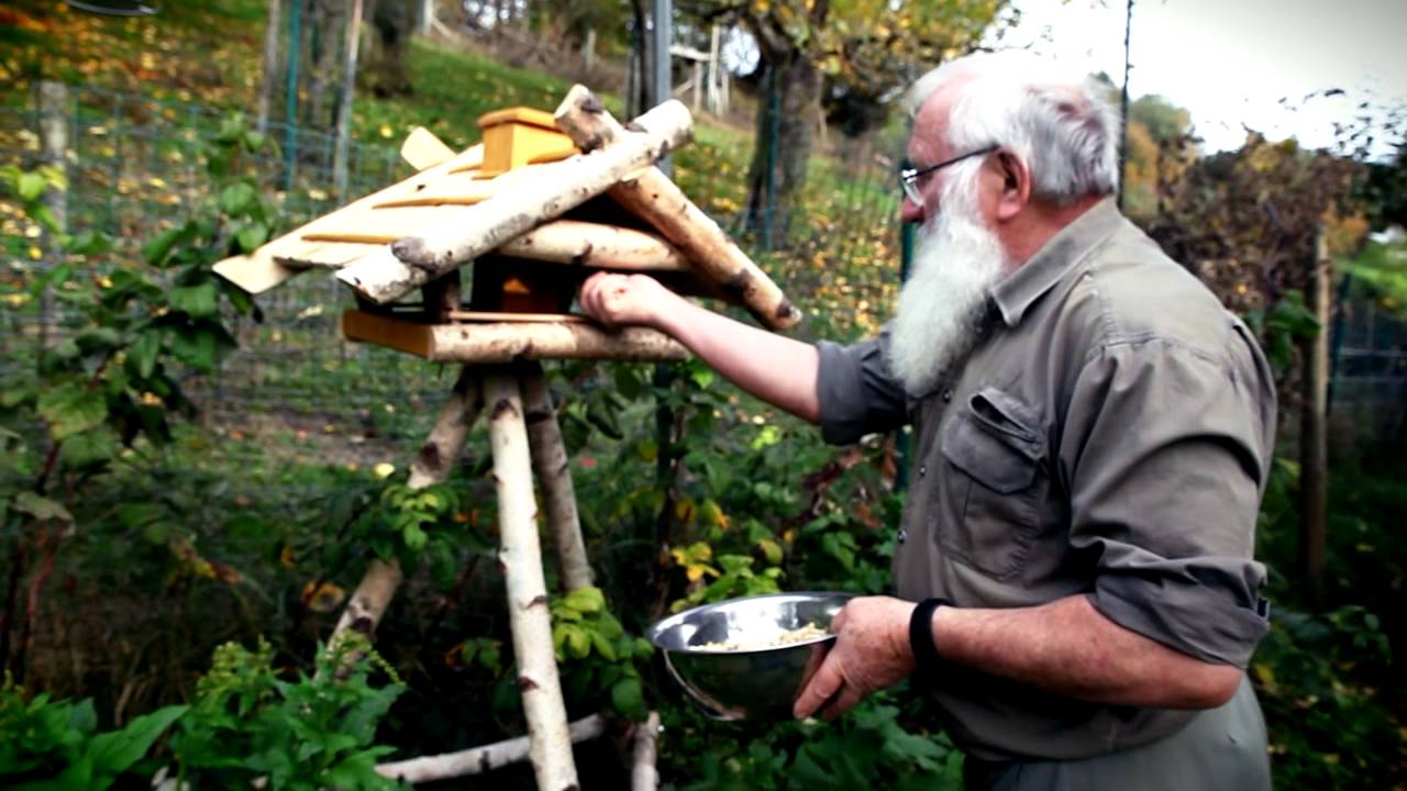 Dehner - Ratgeber Vogelfütterung