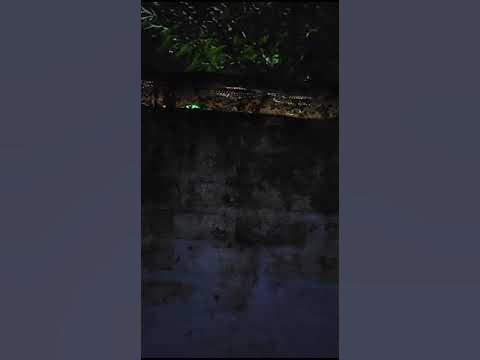 10 fit python snack 🥨🥨🥨🥨🥨🥨🥨🥨 - YouTube