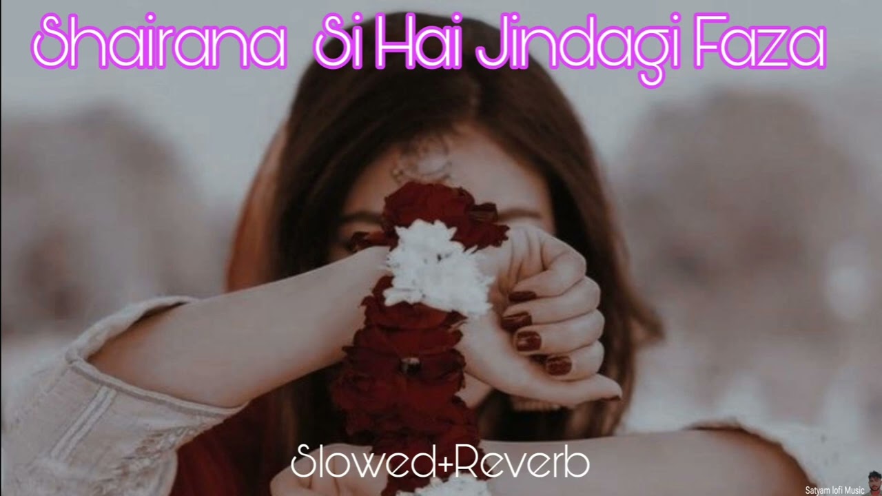 Shairana Si Hai Jindagi ki Faza..💞🎧♥️.Alka Yagnik.. Satyam lofi Music 🎶