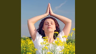 Tranquil Notes in Meditation