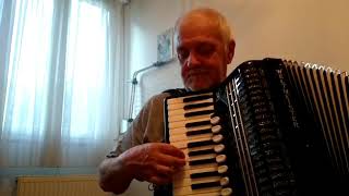 Video voorbeeld van "The Rake Hornpipe (Krusty Krab Theme) Spongebob Squarepants (Accordion Cover)"