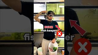 Dumb fish keeper❌ VS Smart fish keeper ✅ #fishtank #aquarium #fishkeeping #fishkeeper #fish