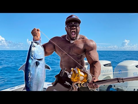 Food Chain Fishing Challenge 4 Tiny Fish to Monster Fish