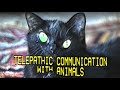 Telepathic Communication With Animals 1990 VHS 