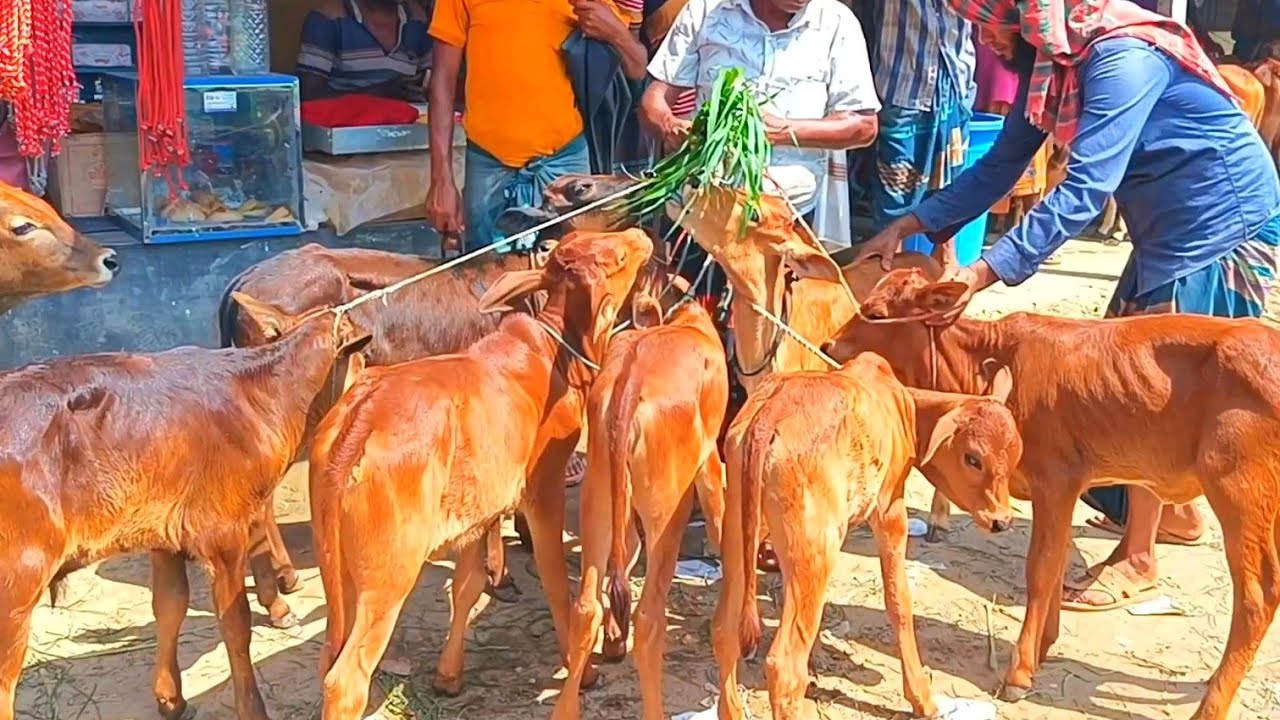 @আজ ২৩ ফেব্রুয়ারী