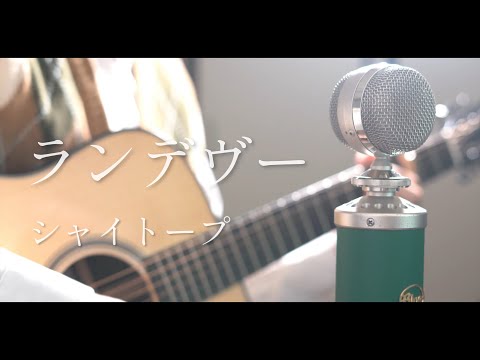 ランデヴー / シャイトープ cover