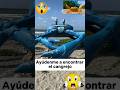 Cangrejo perdido #video #youtubeshorts #videos #drama #reflexion #reflexiones #viral