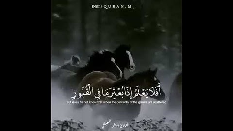 ماهر المعيقلي سورة العاديات