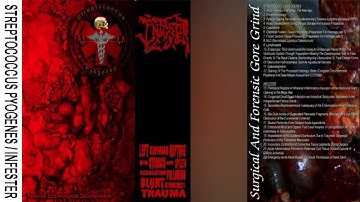 Streptococcus Pyogenes / Infester - Pathologigore Split Tape