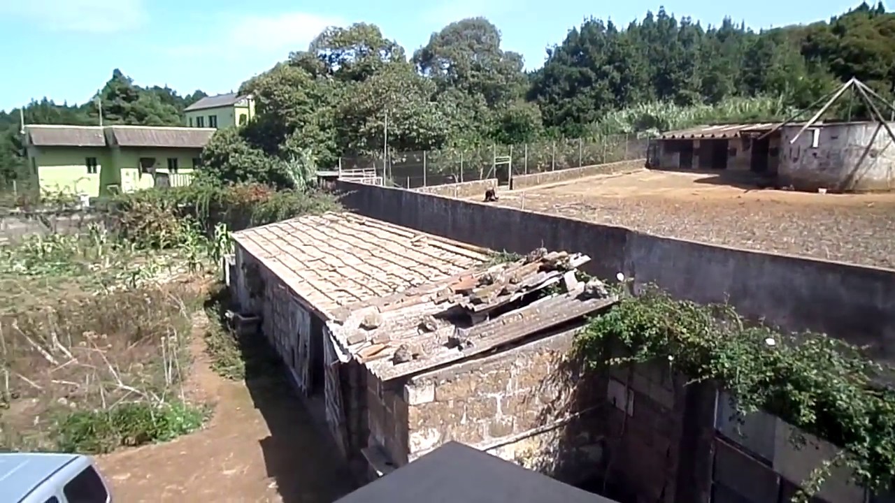 CASA TERRERA MÁS FINCA EN TERRENOS PROTEGIDO- VIVIENDA EN CANARIAS