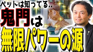 【まさかの鬼門が！】無限のパワーが貰える！盲点だった家の使い方