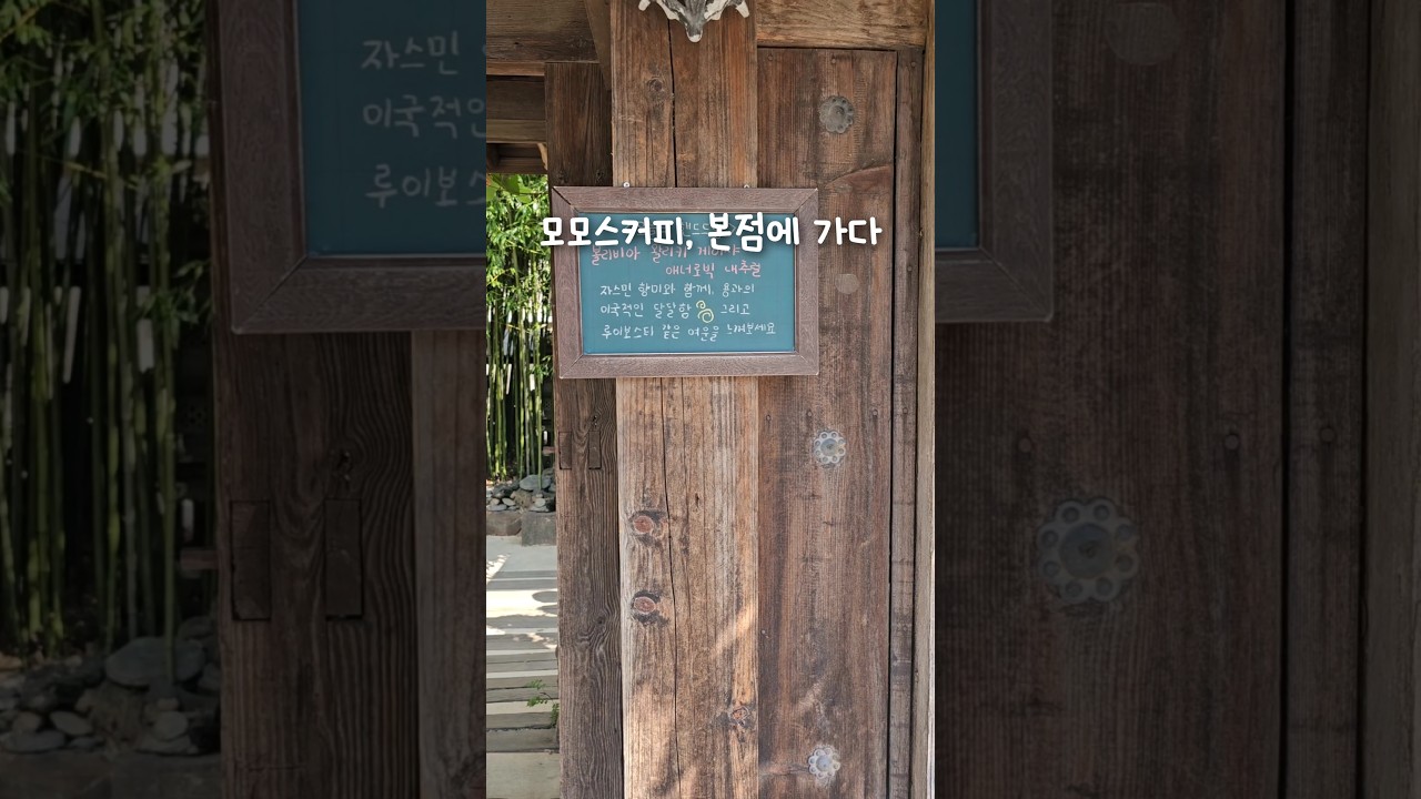 모모스 커피 본점에 가다#모모스커피 #부산 #busan #shorts #youtubeshorts #쇼츠 #유튜브쇼츠