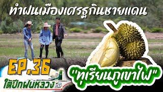 รายการใต้ปีกฝนหลวง EP 36 ''ทุเรียนภูเขาไฟ'' และการทำฝนเมืองเศรษฐกิจชายแดน