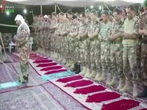 يا بي قديش - عمر العبداللات