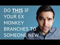 What To Do If Your Ex Monkey Branched To A New Relationship