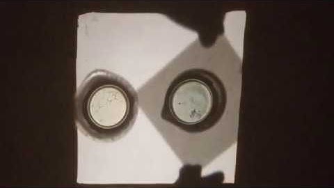 Polarizing Filters and Limonene