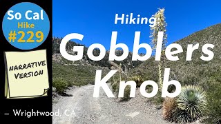 Hike #229N:  Gobblers Knob, Wrightwood, CA (Narrative Version)