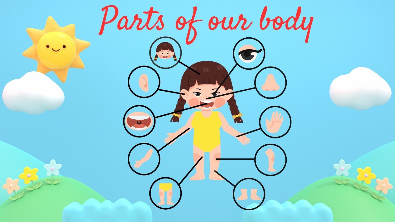 Let's Learn Body Parts! | Educational Video for Kids ! # ...