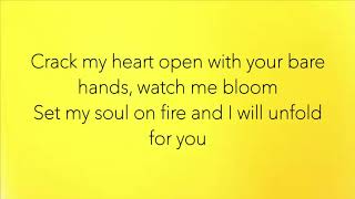 Tonight Alive - Crack my Heart (lyrics)