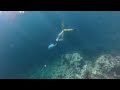 Snorkeling Ngermid Bay, Palau - December 15, 2025