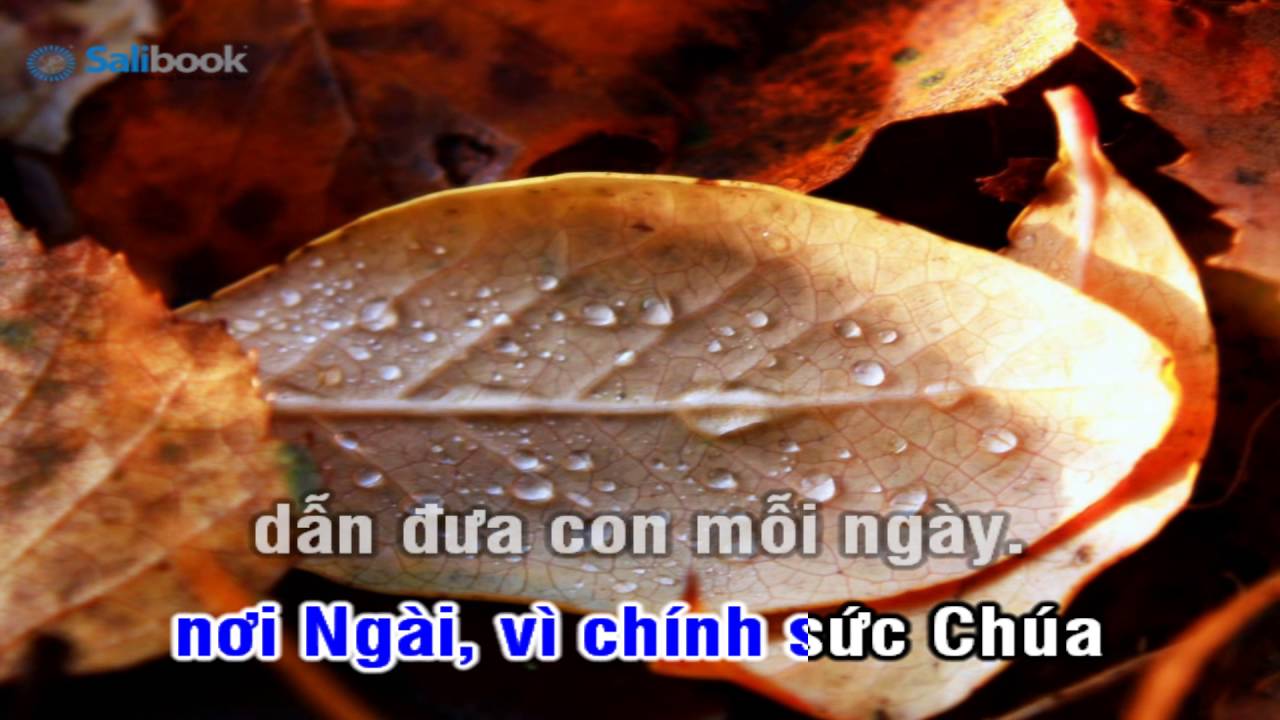 [Karaoke TVCHH] 003 - KHÁT KHAO DÒNG NƯỚC- Salibook