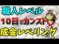 【ドラクエ10】職人レベルを10日でカンスト!禁断の「成金レベリング」を解説【一発仕上げ&修練の心得】