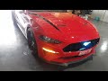 18 19 Mustang with RGB and red Pony LED badges and tail light sequencers