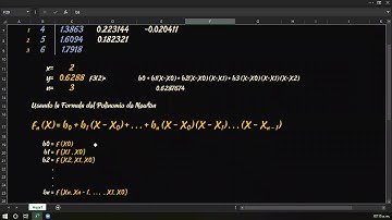 Ejercicio de Interpolación Polinomial de Newton en Diferencias Divididas