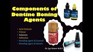 Components of Dentine Bonding Agents