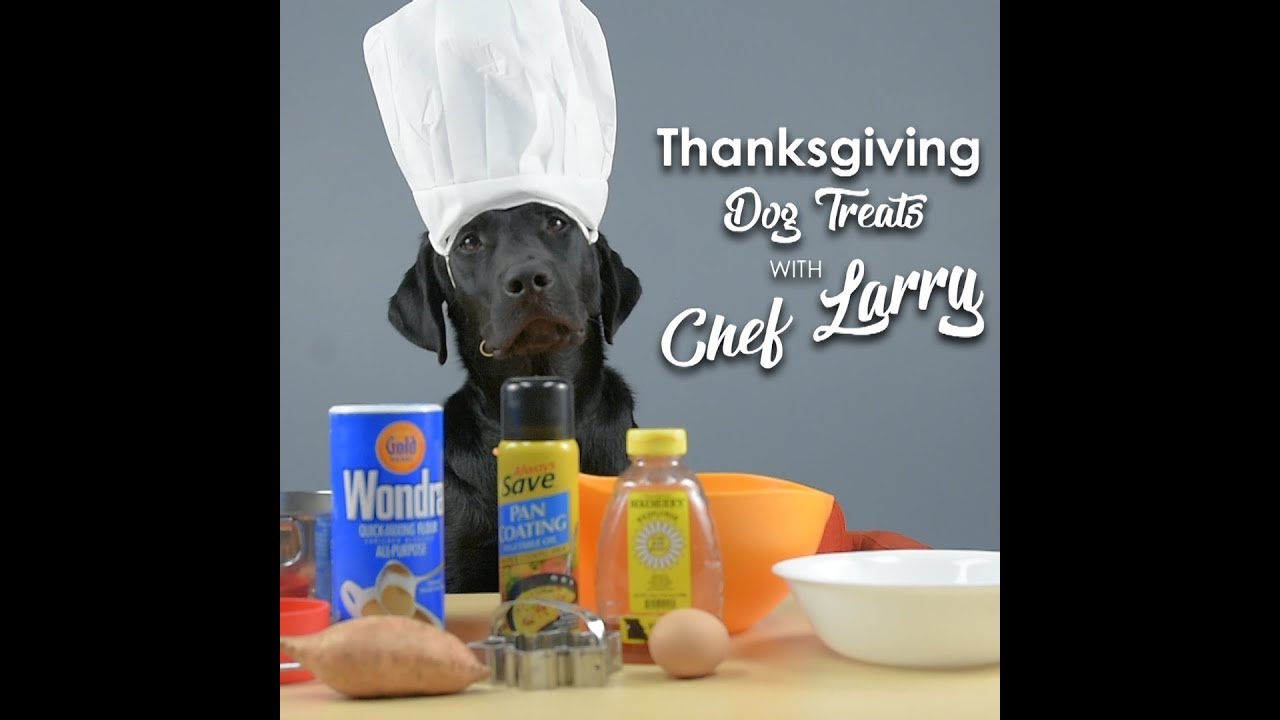 Great Plains SPCA: Thanksgiving Dog Treats With Chef Larry